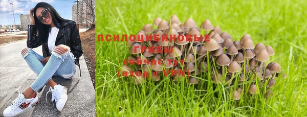 ECSTASY Волоколамск