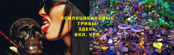 ECSTASY Волоколамск
