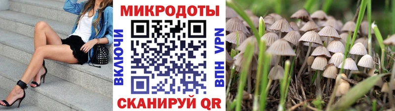 Галлюциногенные грибы прущие грибы  Купить где  Тырныауз 